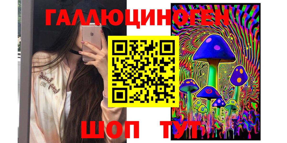 Галлюциногенные грибы Psilocybe Зеленокумск